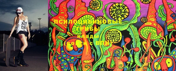 MDMA Premium VHQ Богородицк