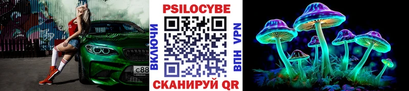 Галлюциногенные грибы Psilocybine cubensis Морозовск