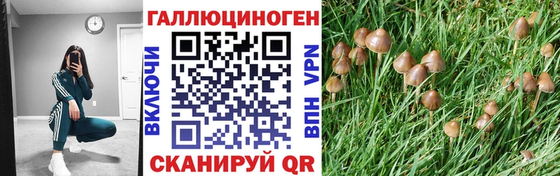 hydra   Морозовск  Псилоцибиновые грибы Psilocybine cubensis  купить наркотик 